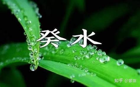 壬癸水|一文讲透 壬水和癸水